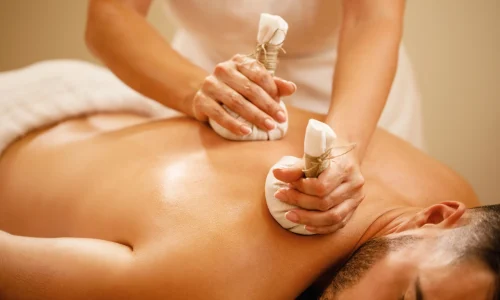 closeup-man-getting-back-massage-with-detox-herbal-balls-health-spa